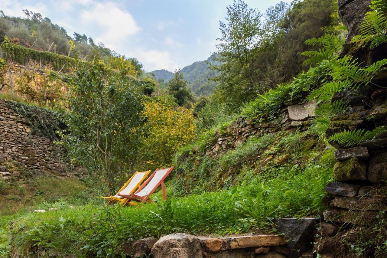 Agriturismo L'Adagio Badalucco Eksteriør bilde